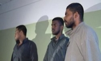 � ���������� ��������� 247 ���������