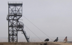 �������� ������ ���� � ������� �� ���� ����?