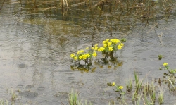 ����� ������ ���� �������� � ������?