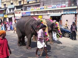 124 �������� ������� � ����� ��-�� ����