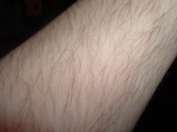 �������� � ���������� ������ ����� ������� ����