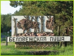 �� ���� ��������� ����� ����� ����������� ���� ������ ����� ����� 