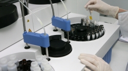 ������ ������� ����� ����� ������ ���