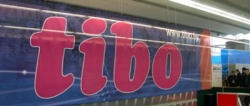 � ������ ���������� �TIBO-2010�
