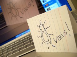 ������� ������������ ����� ������������ � �����