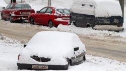 ���� ������� � ���� ����� ���� ������ ����� ������� ���������