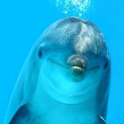 � ������� ���� ������������ ���������� � ������ ���������