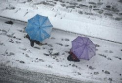 ��������� ������� � �������� � ������� �� ��� ����