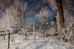 ��������� ������� � �������� � ������� �� ��� ����