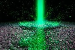 ����������� ����� ���������� ��� ������ ��������� � ��������� ����