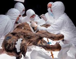 �������� ������� ������������ ����������� �������