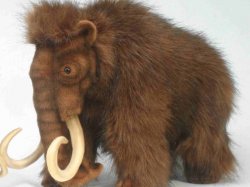 �������� ������� ������������ ����������� �������