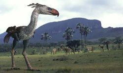 ������������ ������ ���������� ����� ����� �����