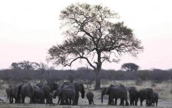 ��������: �������� ������ � ������������ ����� ���� ������ �������� �����