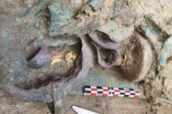 � ������ ��������� ��������� ������ ����� ���������