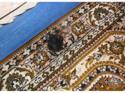 � ����� ������������ ��������� ��������� �������� Lenovo