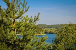 ������ � �������� ������������ ��������� ��������� �������������� ��� ����������� �� ������ ��������