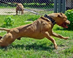 � �������� �������� � ��������� ������� ����� ������� �����