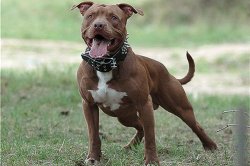� �������� �������� � ��������� ������� ����� ������� �����