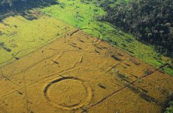 ������ ����� ��������� ����������� ����� � ���������� �����