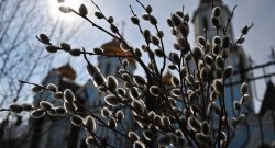 �� ����� ����������� ���������� ����� ������� ������