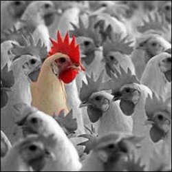 � ��������� ������� �� ������� �������� ������ �����