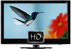 C 2018 ���� ���������� �������� ������ ������ � ������� HD