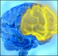 �������� ������� ������������ ���������������