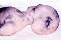 ����� ����������: ���� � ���������� 